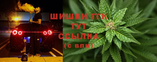 дурь Магас